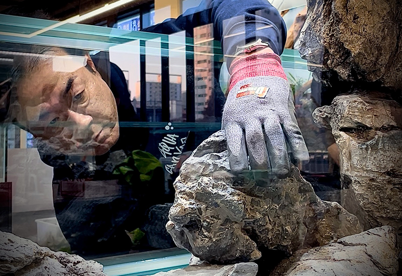 Works | Tokyo Aquascape｜深田崇敬 水景アーティスト・水景デザイナー