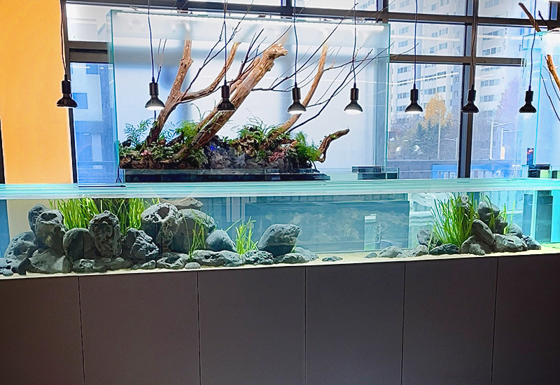 Works | Tokyo Aquascape｜深田崇敬 水景アーティスト・水景デザイナー