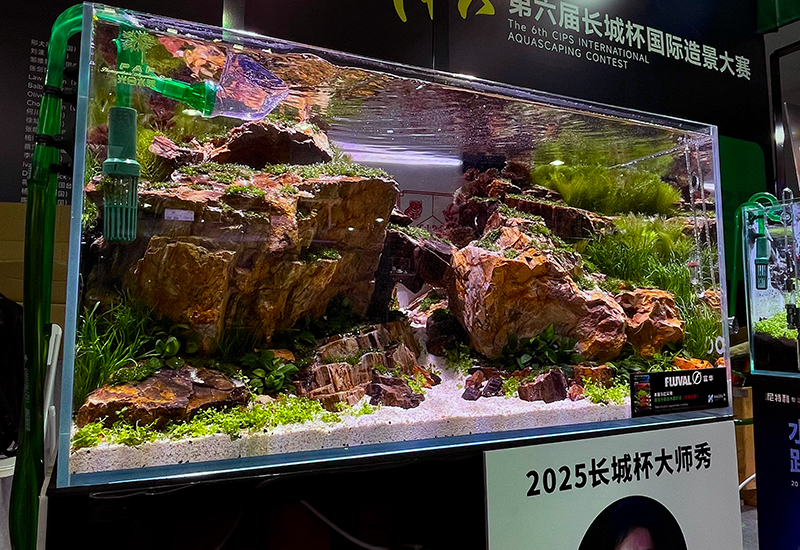 Works | Tokyo Aquascape｜深田崇敬 水景アーティスト・水景デザイナー