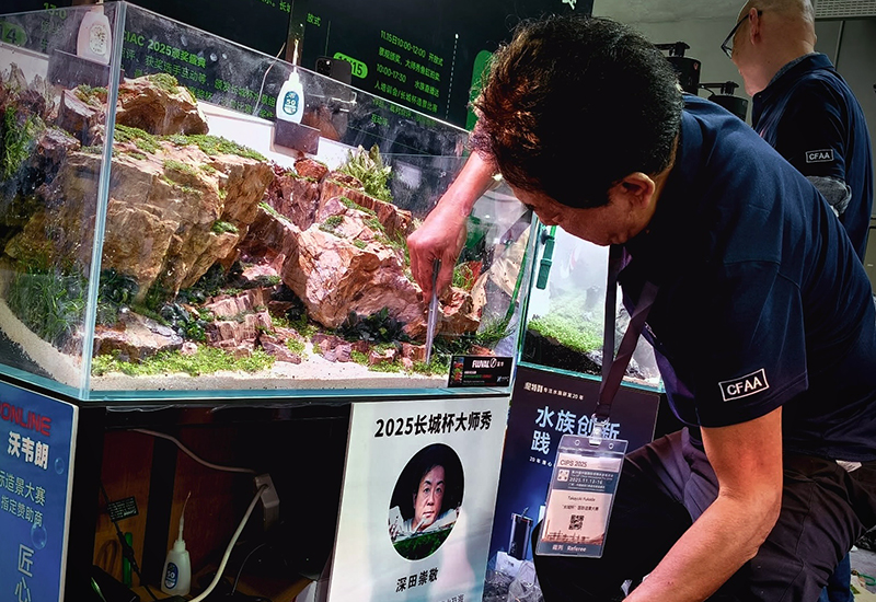 Works | Tokyo Aquascape｜深田崇敬 水景アーティスト・水景デザイナー